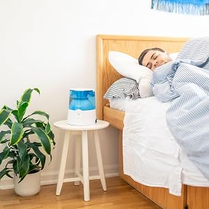 The Perfect Humidifier to Keep Your Family Healthy and Happy