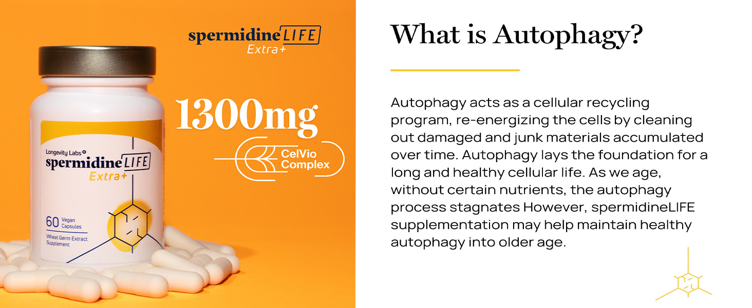 what is autophagy