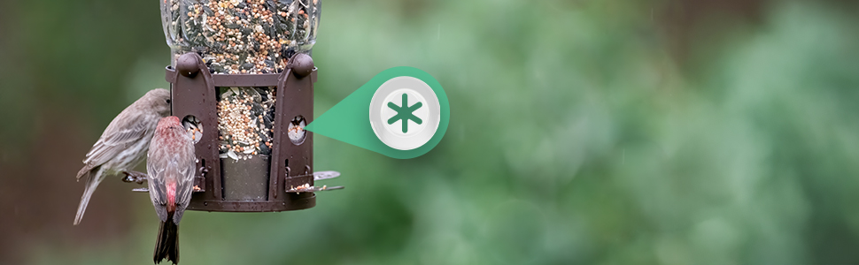 Perky-Pet Squirrel-Be-Gone Max Bird Feeder with Flexports - close up of birds eating from Flexports