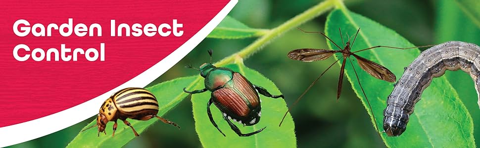 Garden Insect Control Banner with Images of imsects, beetles and caterpillars on plants
