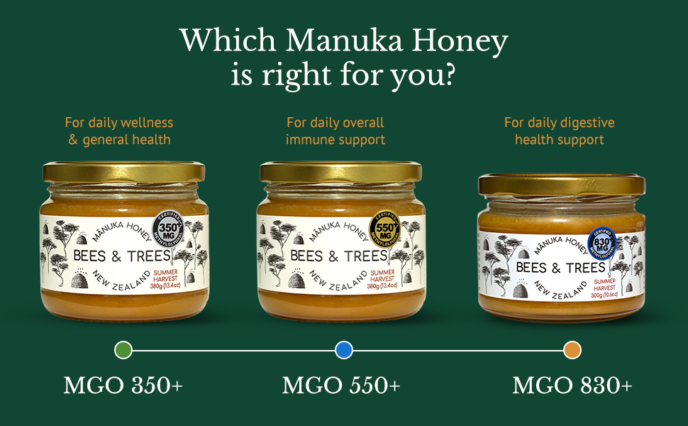 abeja unfiltered glass jar wild cruda sin procesar gel packs golden wholefoods sugar pure ointment