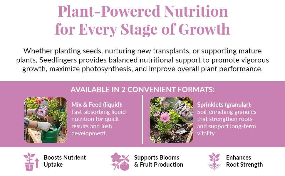 Plant-Powered Nutrition for Every Stage of Growth