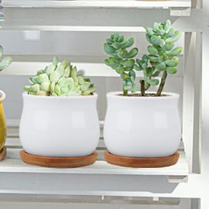 pots