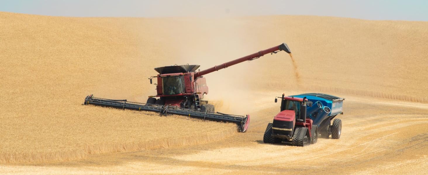 2025 Hard White Wheat Berries