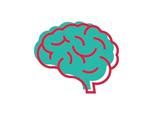 mind and nerve function