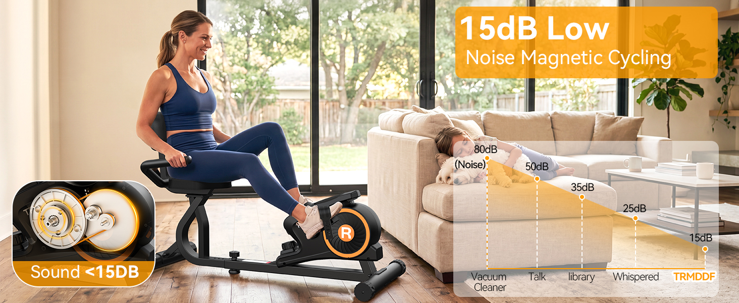 Recumbent Exercise Bike