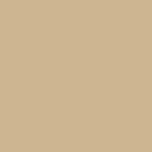 PRESTIGE Paints Exterior Paint and Primer In One, 1-Gallon, Satin, Comparable Match of Sherwin Williams* Relaxed Khaki*