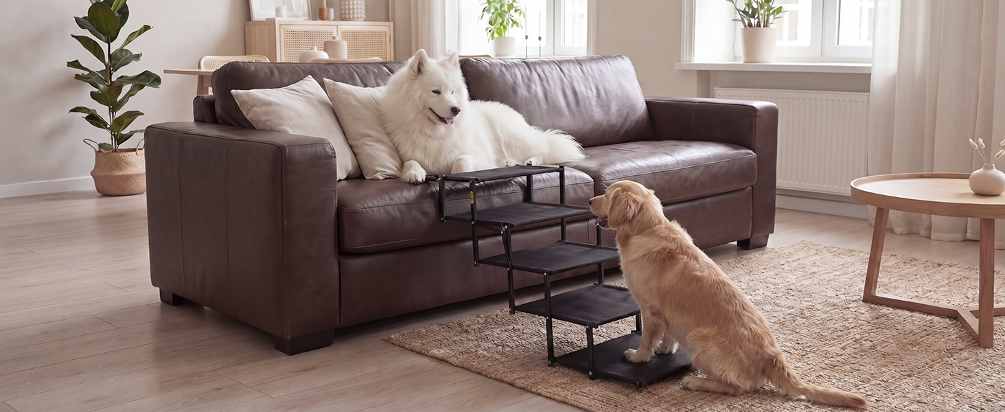 Dog Ramp for Couch