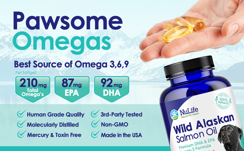 Salmon Oil For Dogs