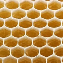 beeswax organic hair care pomade certified organic mens hair products