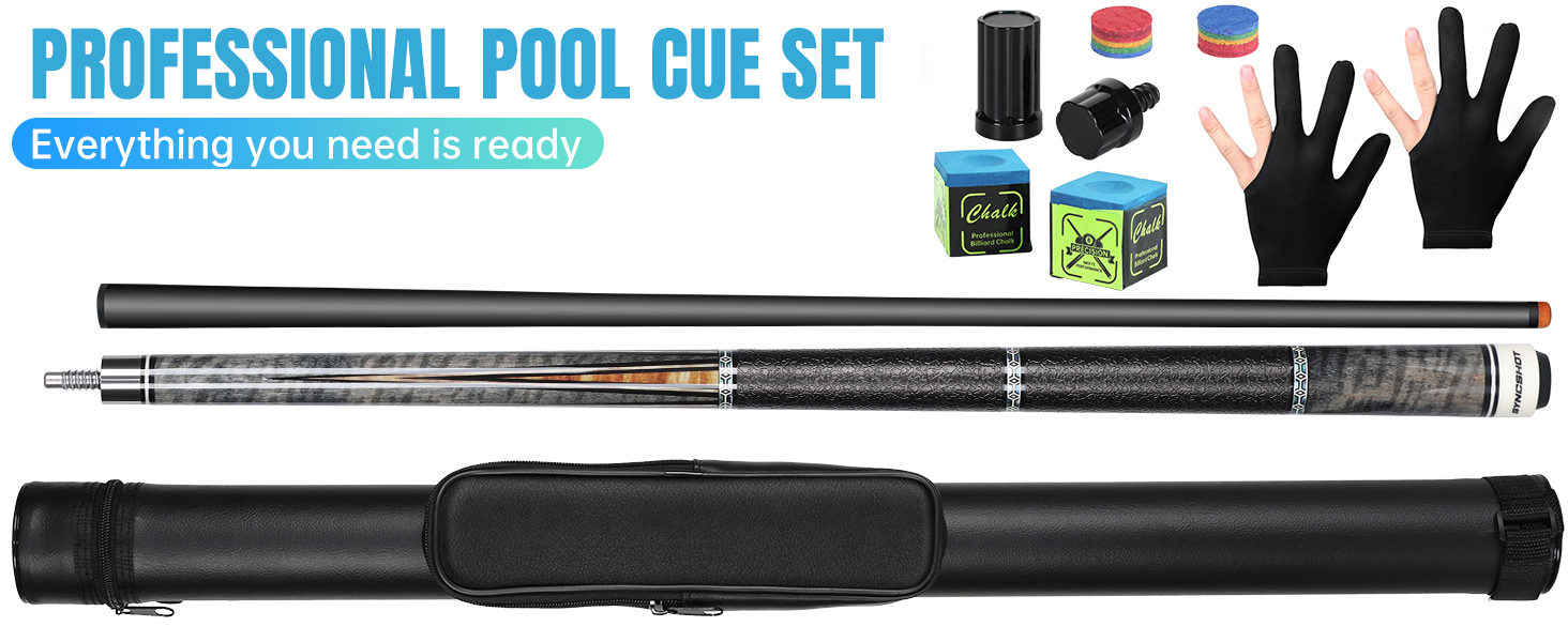 Professional Pool Cue Set