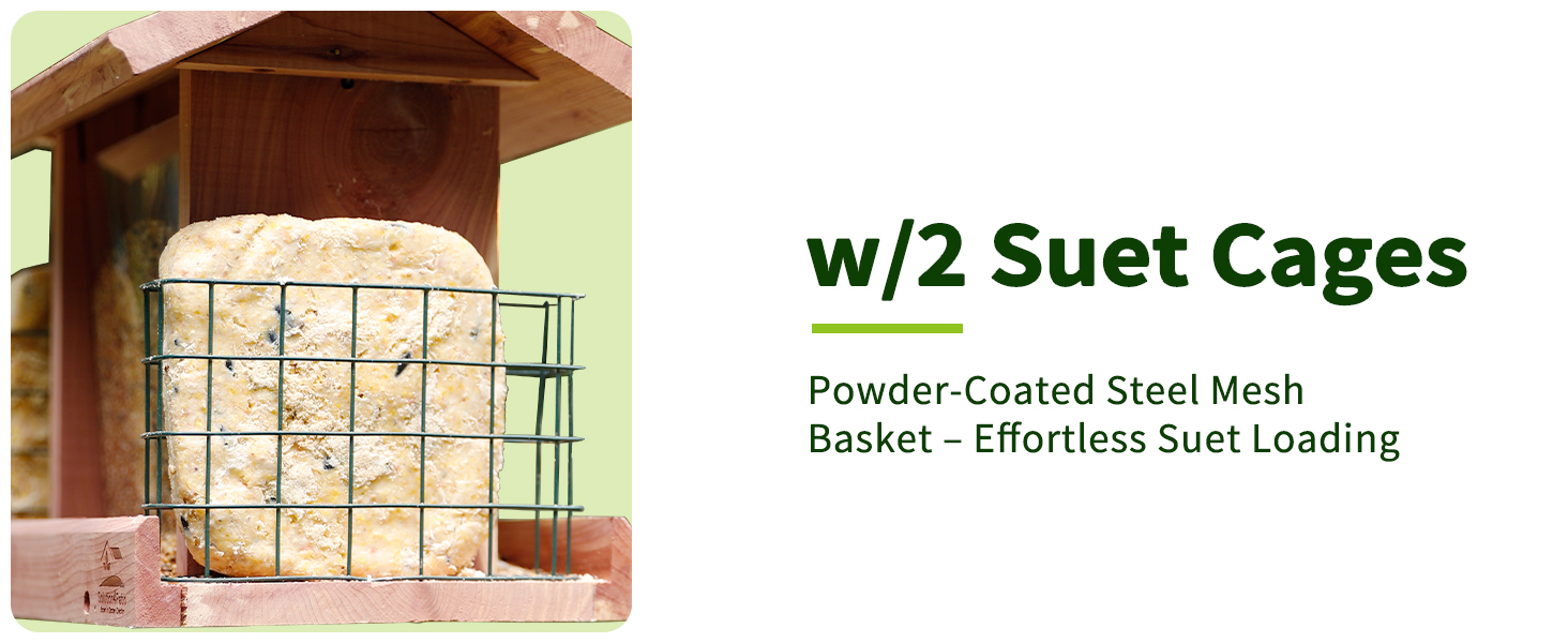 bird feeders for outdoors