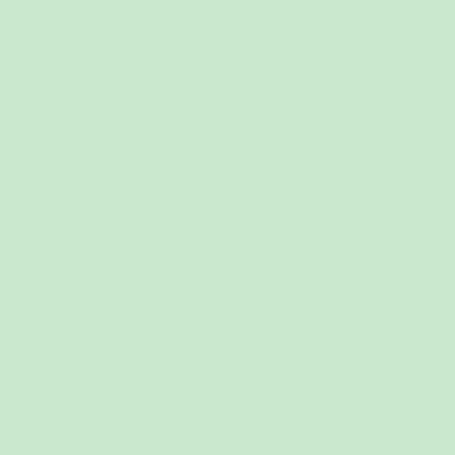 PRESTIGE Paints Exterior Paint and Primer In One, 1-Gallon, Semi-Gloss, Comparable Match of Sherwin Williams* Electric Lime*
