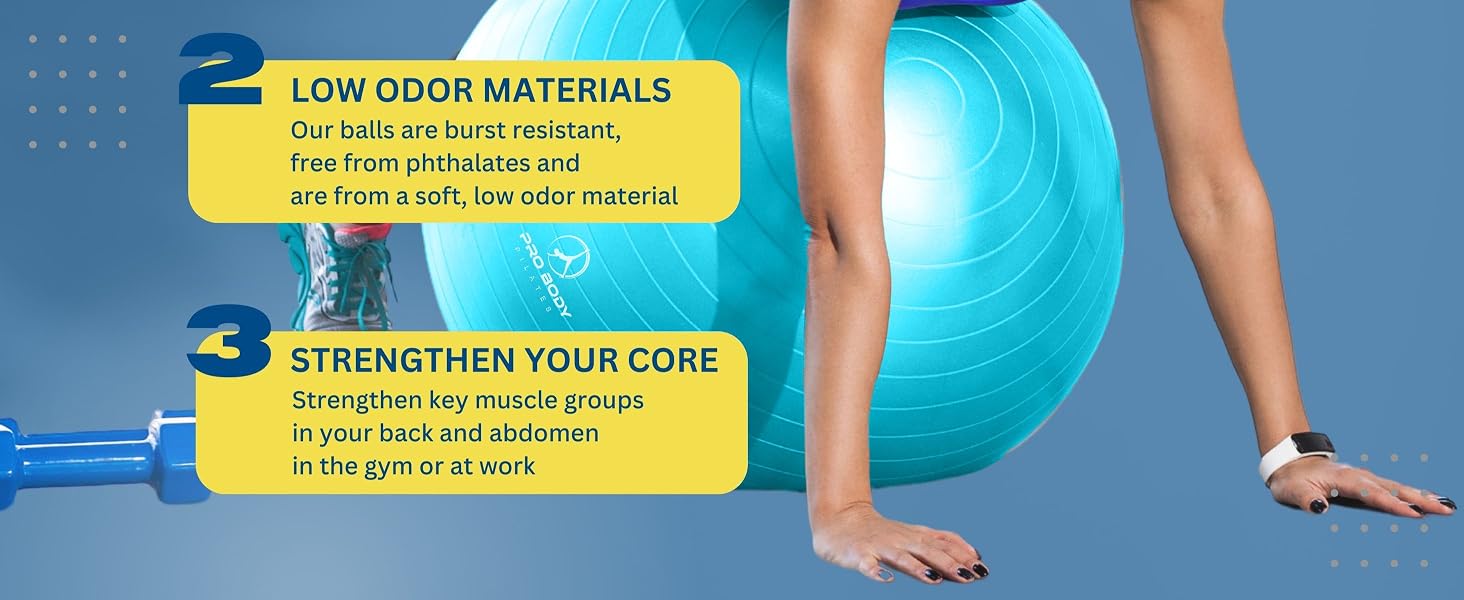 physical therapy ball exercise ball pump large exercise ball yoga ball office chair balance ball