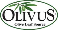 Olive Leaf Tea - Certified Organic - Non-GMO Herbal Tea Bags (100 count) - Sourced from Spain and Manufactured in USA - Antioxidant Immunity Supplement for Health Wellness & Vitality