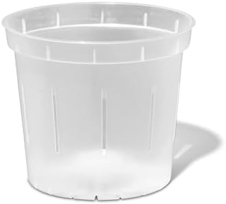 Orchid Pot - 6 inch Slotted Clear Orchid Pots - 3 Pack (Crystal Clear)
