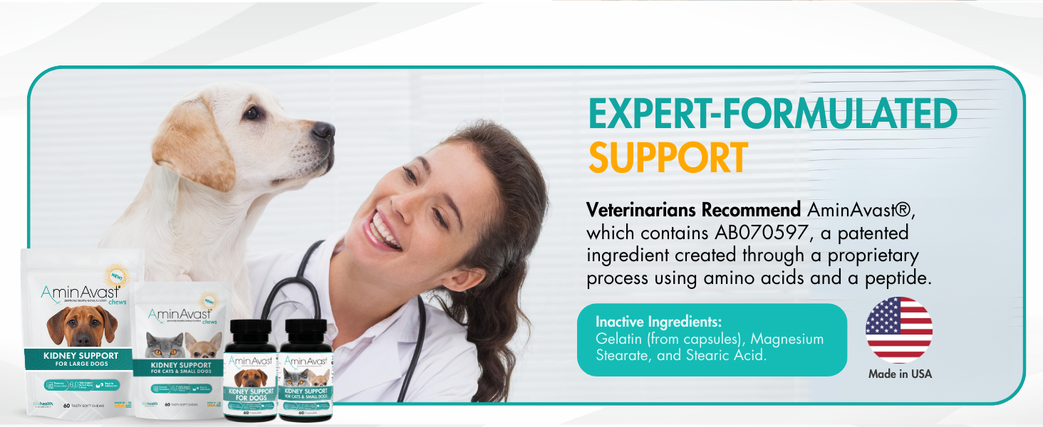 aminavast for cats, aminavast for dogs, cat kidney support, kidney support for cats