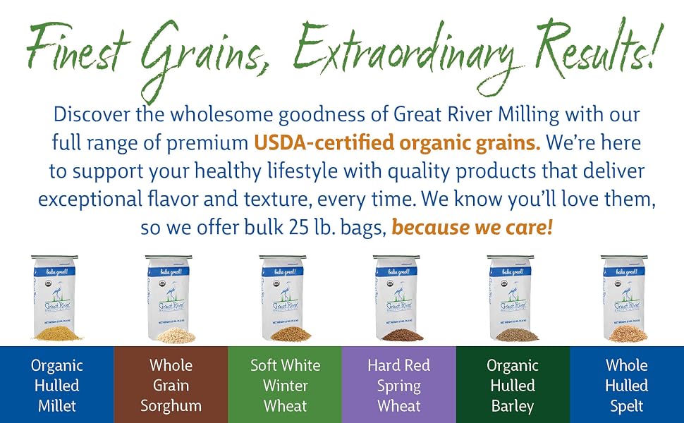 whole grain sorghum