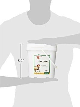 Vita Flex Pure Lysine, 151 Day Supply, 4 lbs | Lysine is recommended for equine diets low in alfalfa