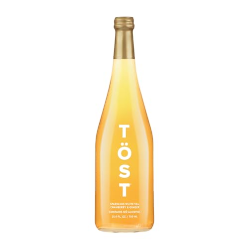 Tost, White Cranberry Ginger and Spice Sparkling White Tea, 25.36 Fl Oz