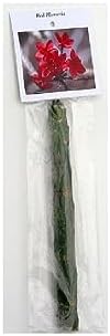 Frangipani Red Plumeria Plant Hawaii Cuttings 2 Pack lo987 Discount Hawaiian Gifts