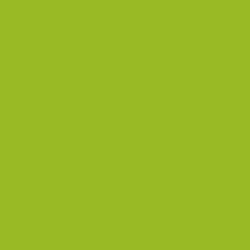 PRESTIGE Paints Exterior Paint and Primer In One, 1-Gallon, Semi-Gloss, Comparable Match of Sherwin Williams* Electric Lime*