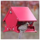 Audubon "Mini" Absolute Squirrel Resistant Bird Feeder Model 7458