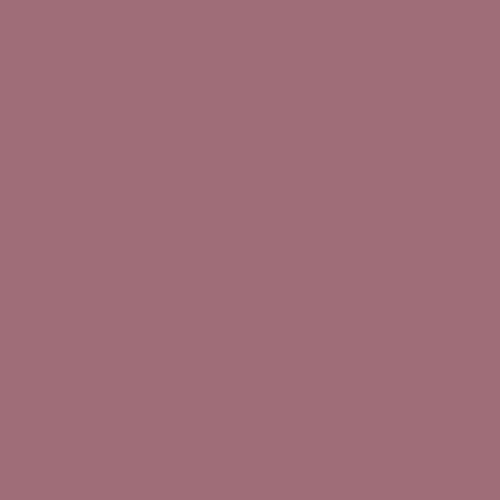PRESTIGE E500-P-SW6303 Exterior Paint and Primer in One, 1-Gallon, Semi-Gloss, Comparable Match of Sherwin Williams Rose Colored, 1 Gallon, SW17-Rose