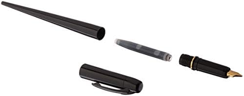 PLATINUM Fountain Pen, Black Body (DPQ-700A#1)