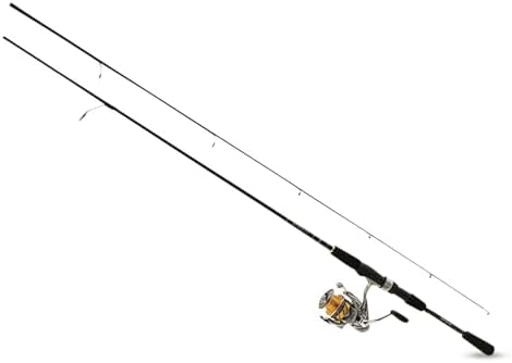 Daiwa Revros LT