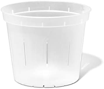 Orchid Pot - 6 inch Slotted Clear Orchid Pots - 3 Pack (Crystal Clear)