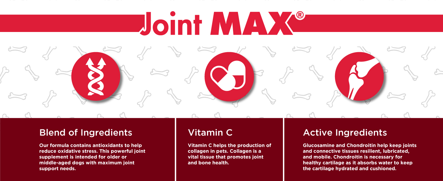 Joint MAX