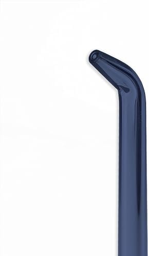 Waterpik Handheld Water Flosser Low-Flow Replacement Tips, 2 Count JT-360E | Genuine Waterpik Brand Precision Refill Nozzles Heads for Every Day Gum Health, Blue, Replace Every 6 Months