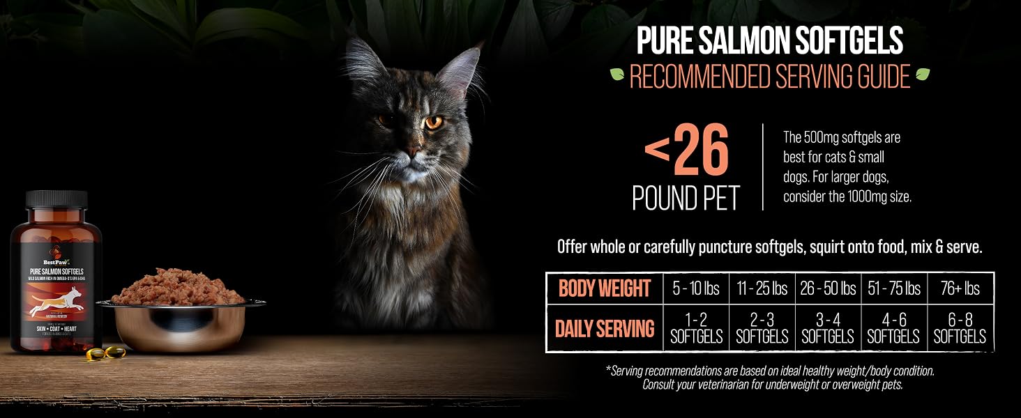 Salmon Oil For Dogs