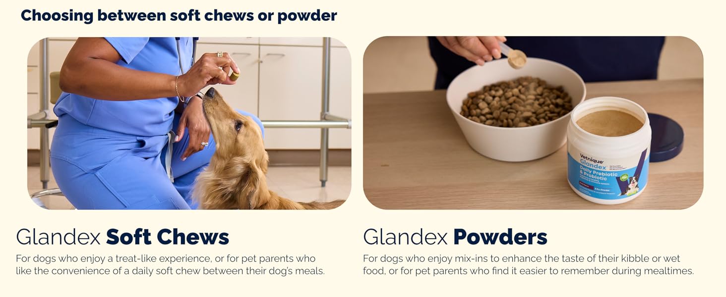 Vetnique Glandex comes in soft chews or powder mix-ins for picky dogs and mealtime routines