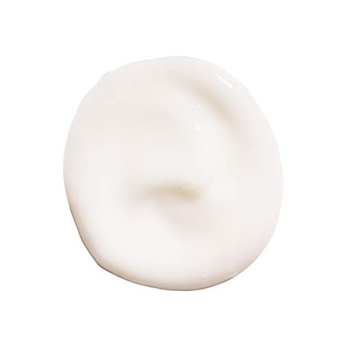 Redken Frizz Dismiss Rebel Tame Heat Protective Leave-In Cream For Frizzy Hair - Protects Hair Against Frizz