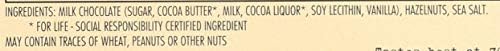 Chocolove Milk Chocolate Bar with Hazelnuts - 3.2 oz2