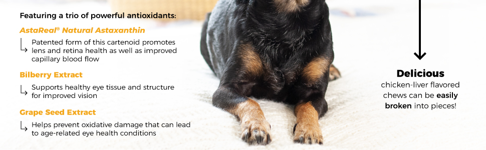 senior canine vision supplement