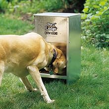 chow hound