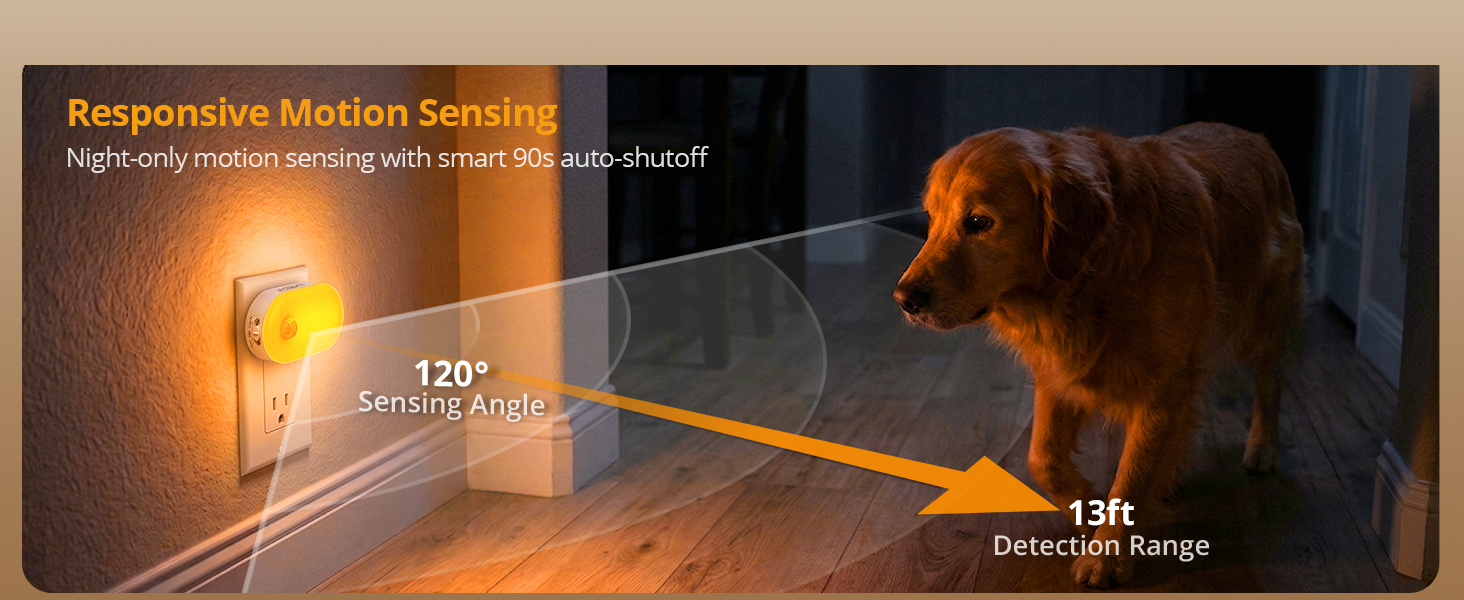 Motion-Sensing Night Light for Midnight Pet Walks