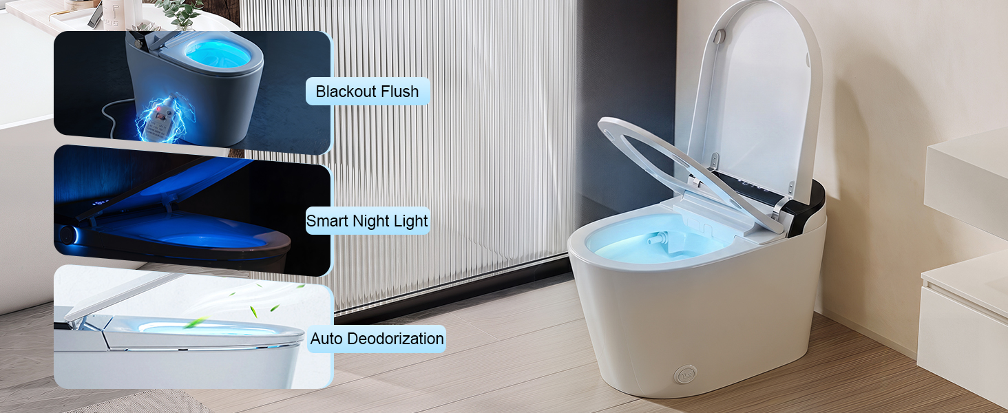 electric toilet