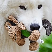 Dog Toy