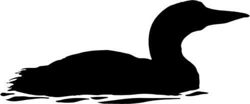 Ranger Products Loon Bird Vinyl Decal Car Window Wall Laptop Sticker, Die Cut Vinyl Decal for Windows, Cars, Trucks, Tool Boxes, laptops