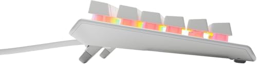 SteelSeries Apex 3 TKL White RGB Gaming Keyboard - Compact Tenkeyless Form Factor - 8-Zone RGB Lighting - Water and Dust Resistance - Whisper Quiet