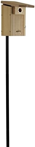 Cedar Super Bluebird House with Steel Pole Package (1)