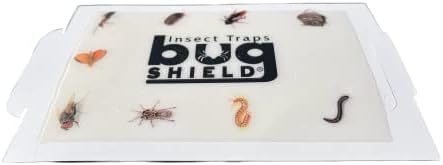 Bug Shield Sticky Glue Traps 72 Glue Boards, All Types of Incets, Spiders, Cockroaches, Ants, Cave Crickets, and More. Professional Strength Glue.
