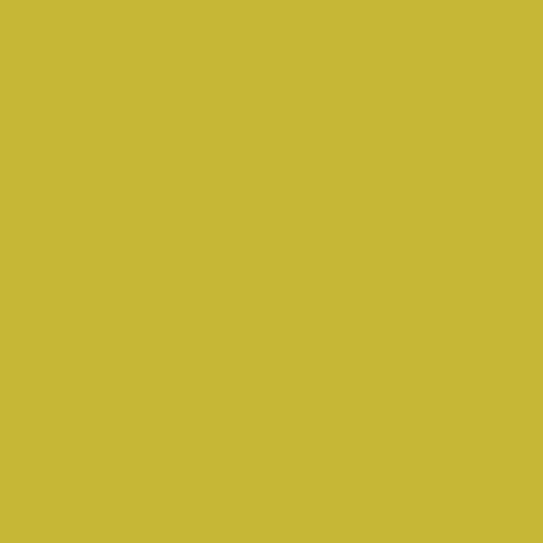 PRESTIGE Paints Exterior Paint and Primer In One, 1-Gallon, Semi-Gloss, Comparable Match of Sherwin Williams* Electric Lime*