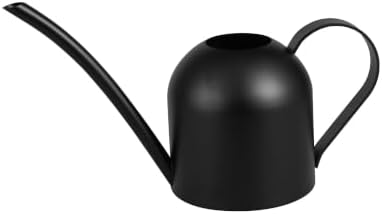 IMEEA Indoor Watering Can for House Plants 33oz/1L Brushed Stainless Steel Watering Can with Long Spout for Succulents, Bonsai