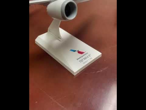 Daron Skymarks American Airlines Boeing 787 8 1/200