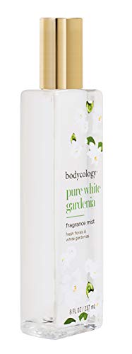 Bodycology Toasted Sugar Fragrance Mist for Women, 8 Fl Oz (455004008)